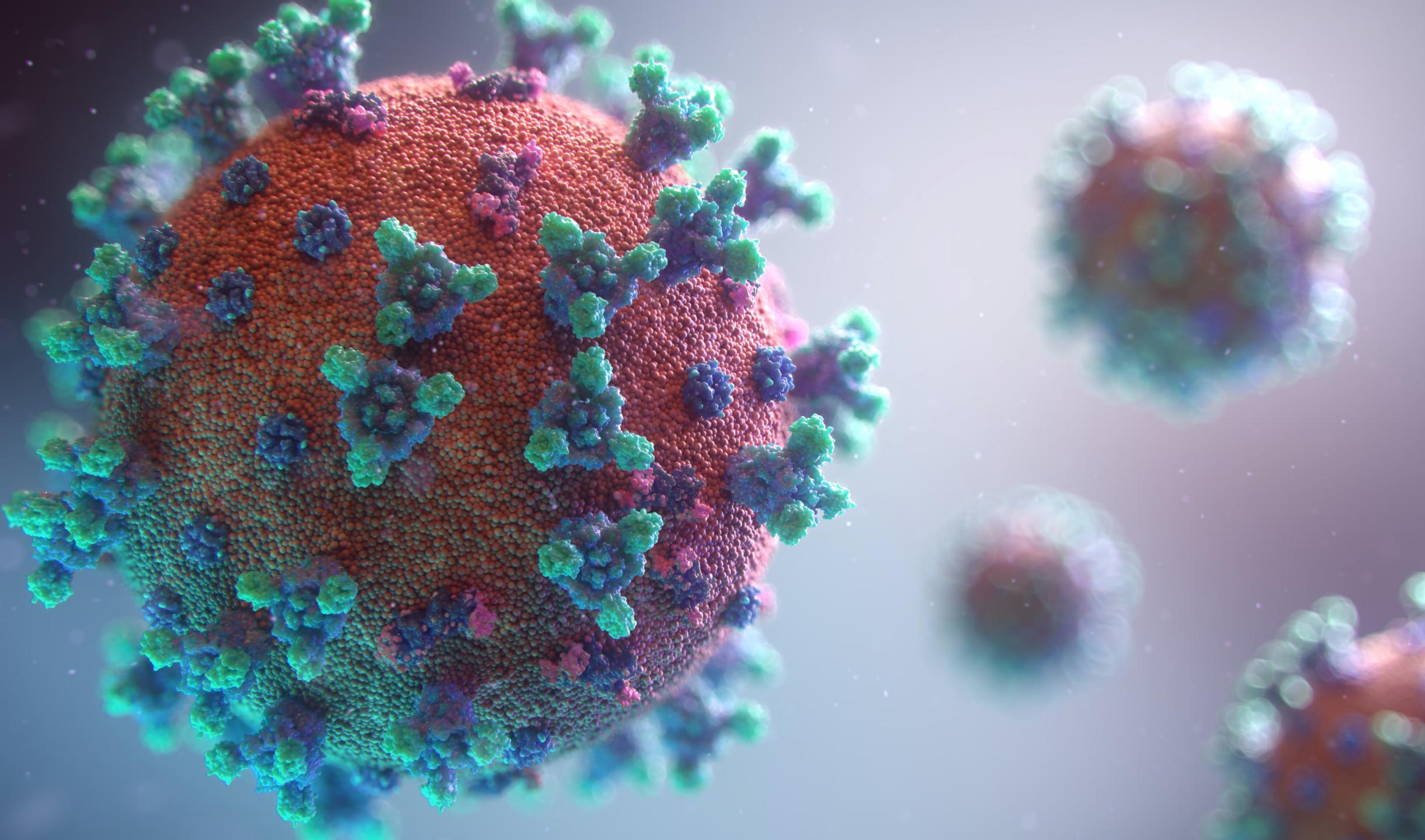 virus covid19
