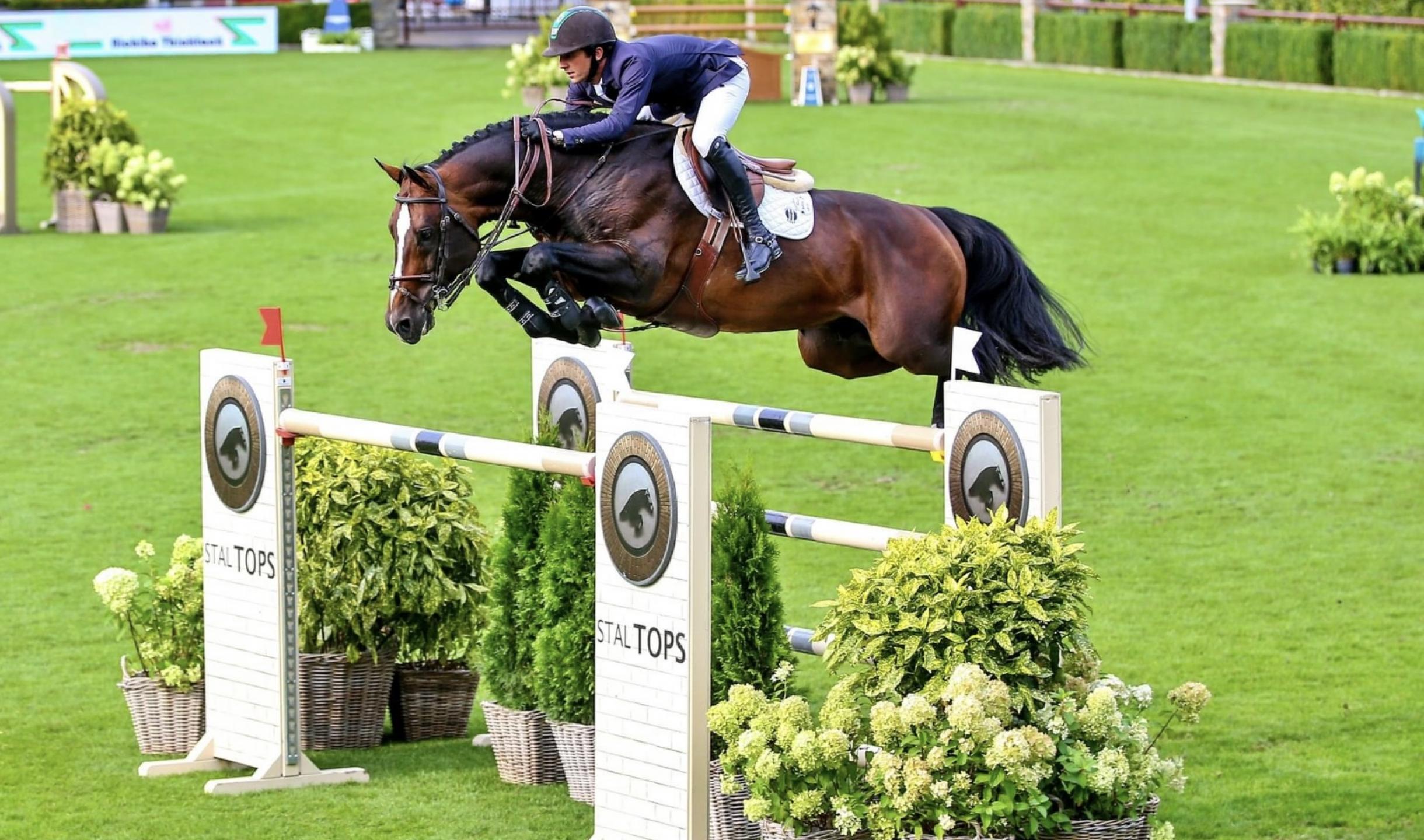 VDL stud