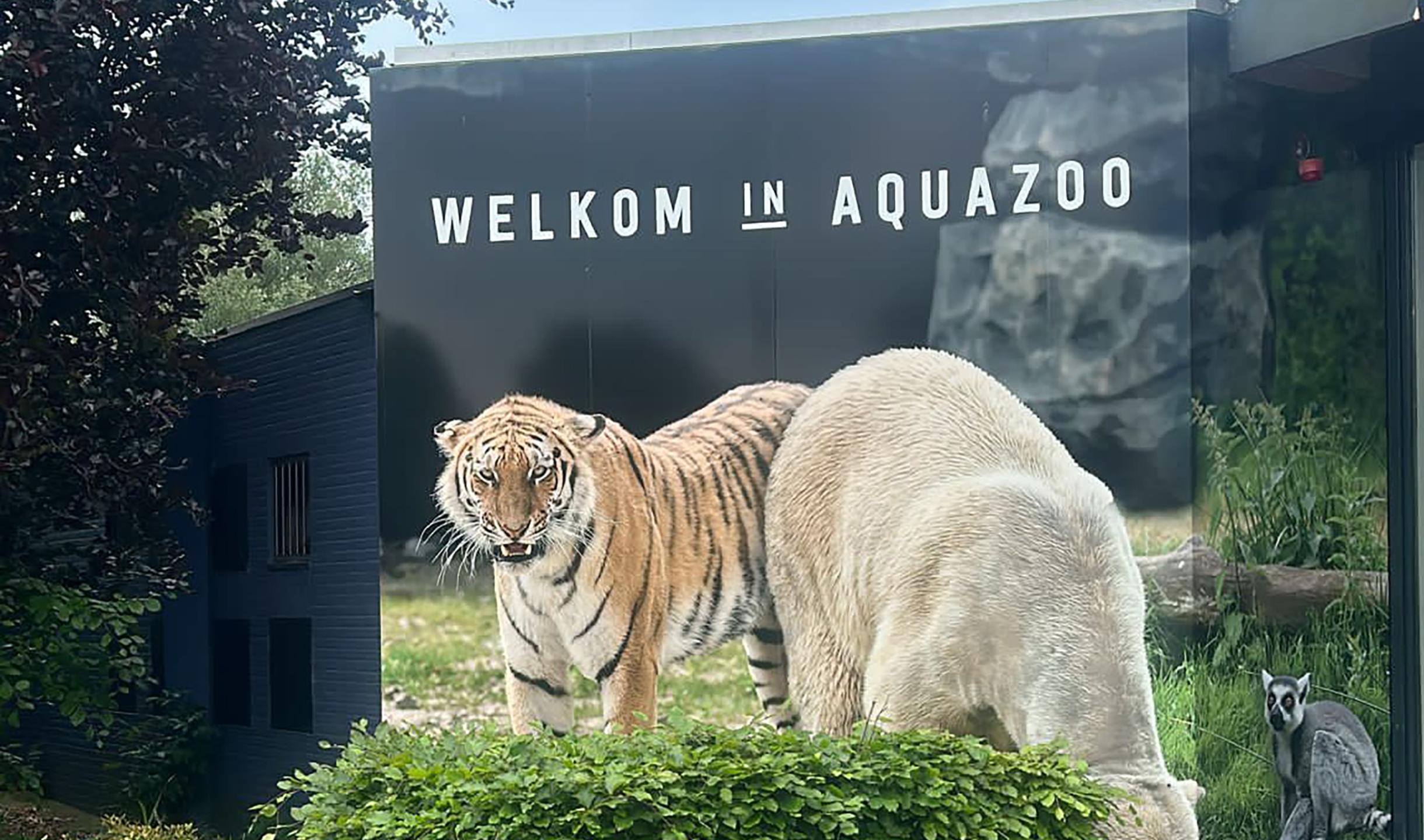 ccl bij aquazoo
